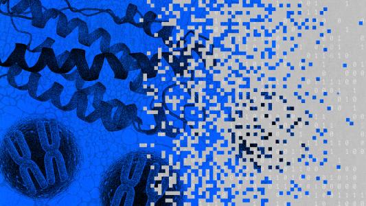 Illustration showing a transition from DNA and chromosomes on the left to pixelated squares and binary code on the right, representing the digitization of biological data.