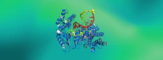 protein structures