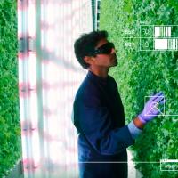 vertical farming